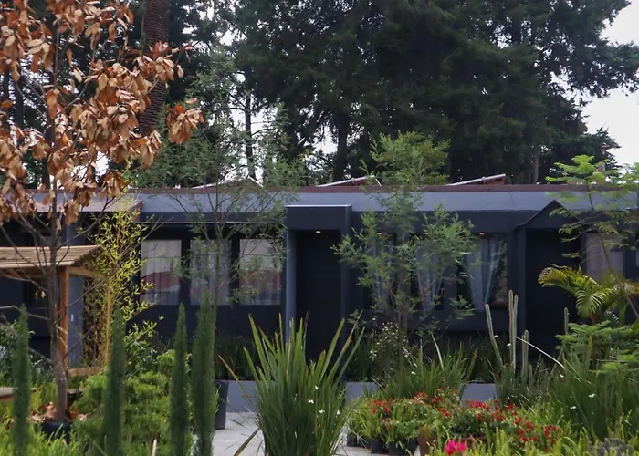Utopia Boutique Hotel Mexico City
