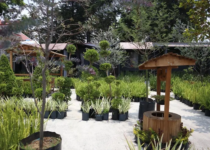 Hotel Utopia Boutique Mexico City