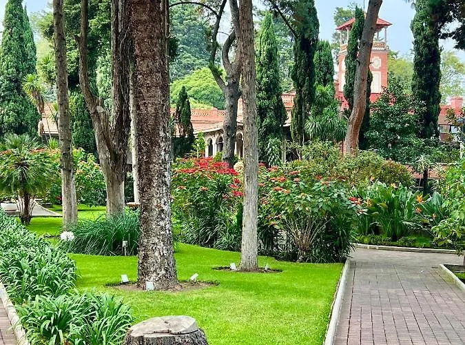 Hotel Utopia Boutique Mexico City